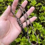 Paracord Lanyard with Braided Detail & Lobster Clasp - Image 11